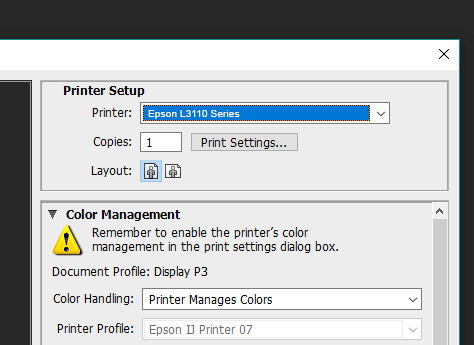 Masalah Epson L3110 Tidak Bisa Print & Tidak Keluar Tinta