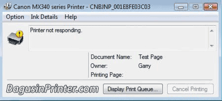 Printer not valid